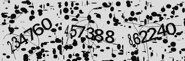 Please enable image downloads in your browser.