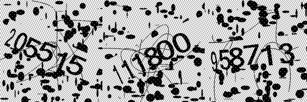 Please enable image downloads in your browser.